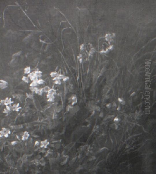 Still Life With Violets And Primroses - view 1