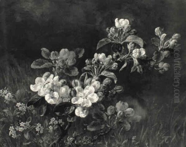 Blomstrende Aeblegrene - view 1