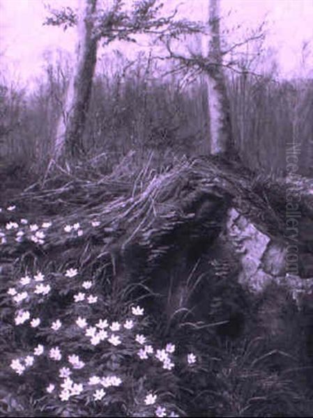 Harbingers Of Spring - view 1