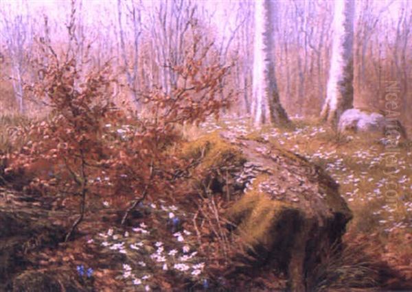 Forest Clearing With Flowers - view 1