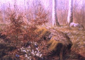 Forest Clearing With Flowers Forest Clearing With Flowers