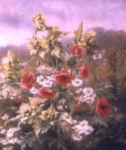 Poppies And Margueritas In A Field Poppies And Margueritas In A Field