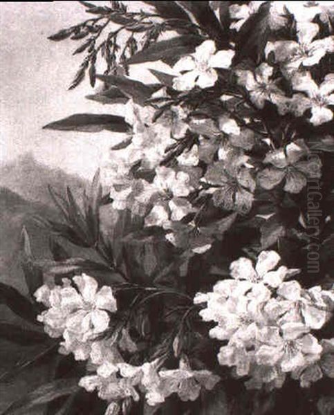 Oleander In Einer Gebirgslandschaft - view 1
