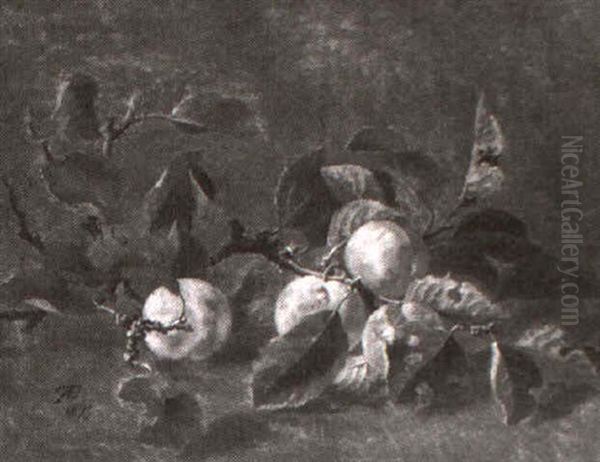 Blommegren - view 1
