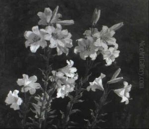 Lilien Lilien