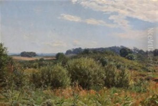 Summer Landscape With Green Rolling Hills - view 1