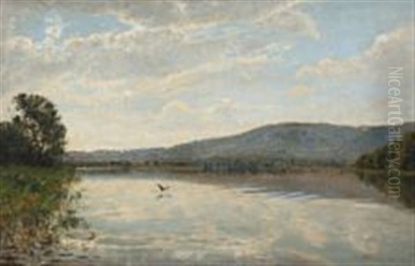 Danish Summer Landcape With A Lake - view 1