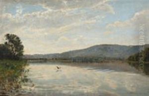 Danish Summer Landcape With A Lake