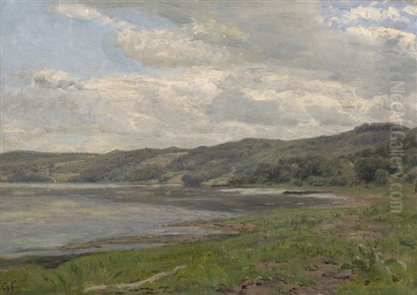 Uferlandschaft An Einem Sommertag In Danemark - view 1