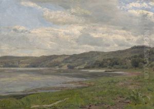 Uferlandschaft An Einem Sommertag In Danemark Uferlandschaft An Einem Sommertag In Danemark