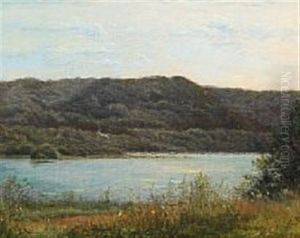 Forest Lake Forest Lake
