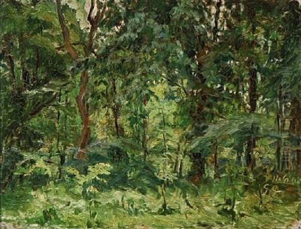 Sunny Day In The Woods - view 1