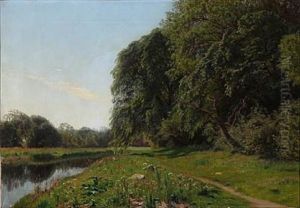 Danish Summer Landscape Danish Summer Landscape