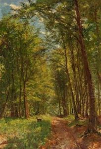 Forest Scape From Hornbaek Plantage by Godfred B.W. Christensen