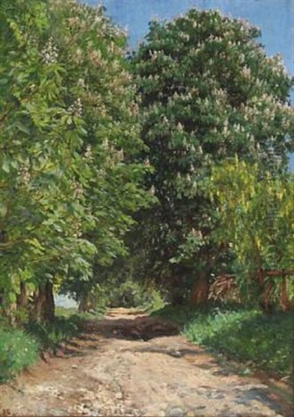Road In Horsholm, Denmark - view 1