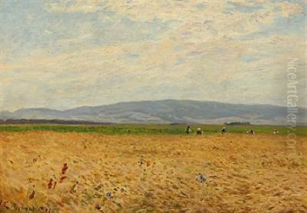 Danish Summer Day With People In The Field - view 1