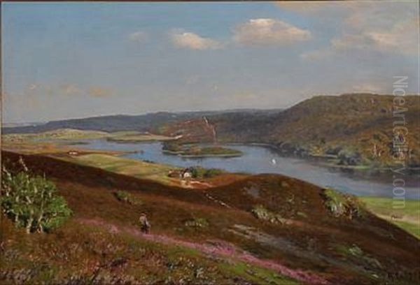 View From The Silkeborg Lakes In Denmark - view 1