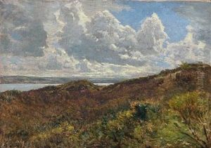 View From Munkholm Near Vejle, Denmark