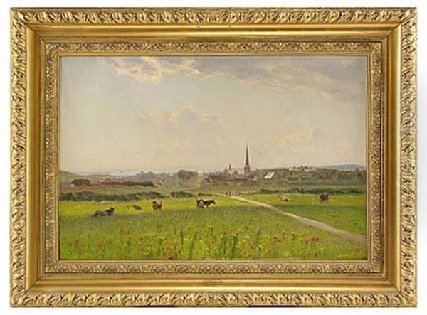 Utsikt Over Nyborg Pa Fyn - Danmark - view 1