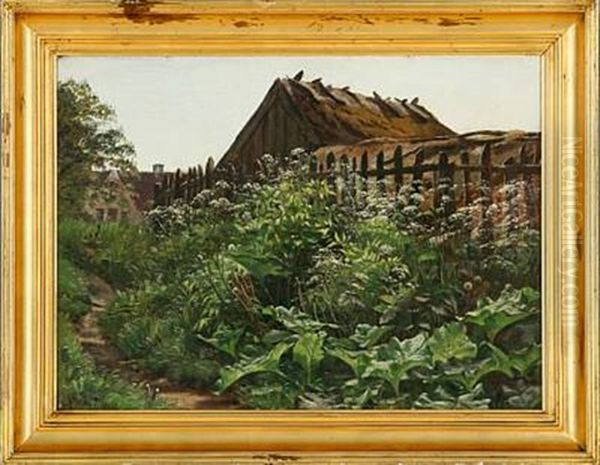Goutweed Behind A Thatched House - view 1