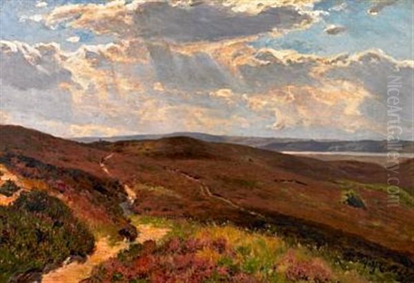Landscape With A Person - view 1