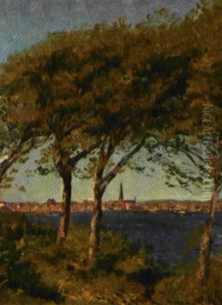 Parti Fra Den Nordsjaellandske Kyst Med Udsigt Mod Helsingborg - view 1