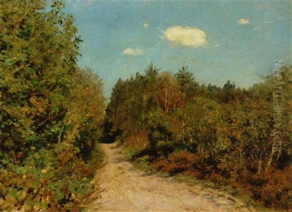 Grib Skov September 1904 - view 1