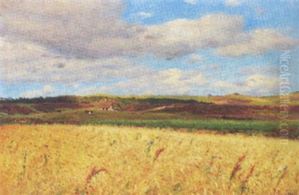 Landskab Med Kornblomster - view 1