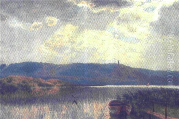 Diset Landskab Ved Himmelbjerget - view 1