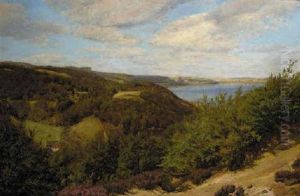 A Danish Lake Landscape On A Summers Day