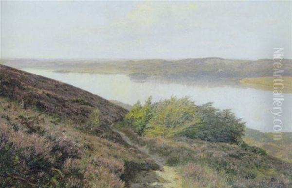 Lyngbakker Ved Silkeborgsoerne - view 1