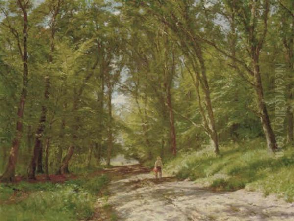 En Sommerdag I Jaegersborg Dyrehave - view 1