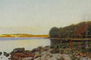 Parti Fra Holtzers Hage Pa Den Sydlige Side Af Vejle Fjord
