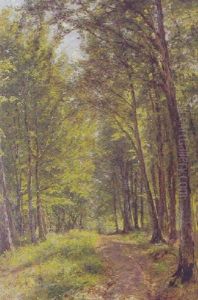 Bogeskoven I Horbaek Plantage by Godfred B.W. Christensen