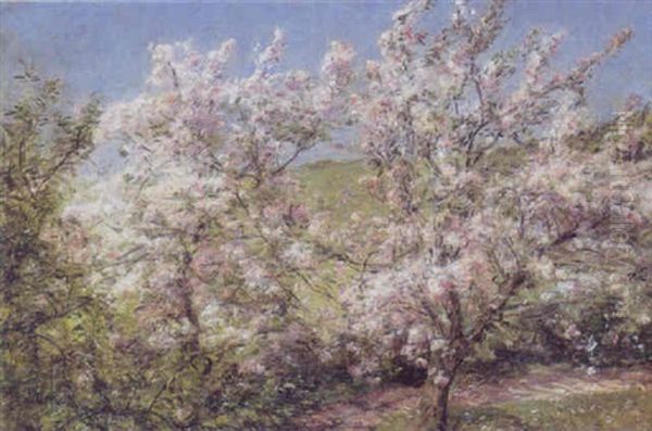 Blomstrende Aebletraeer - view 1