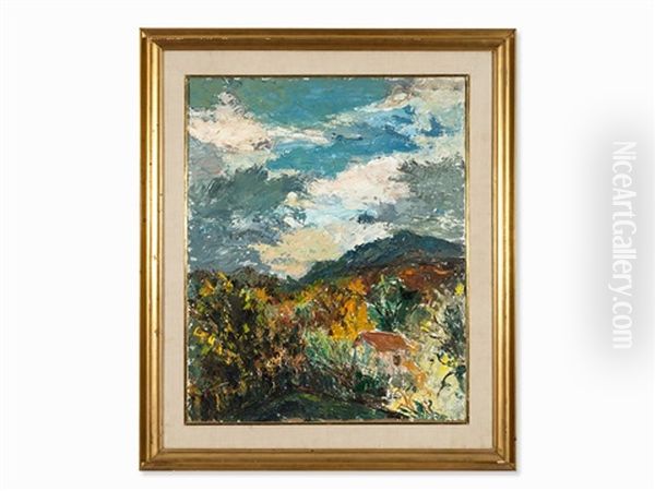 Southern Landscape - view 1