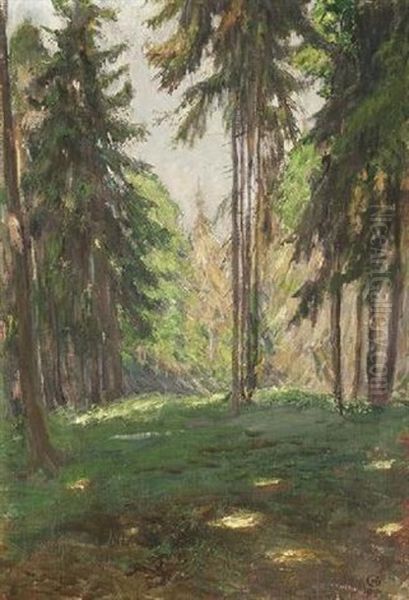 Im Tannenwald - view 1