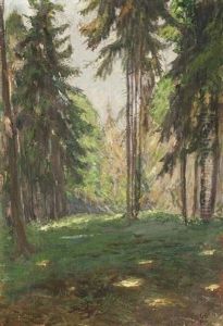 Im Tannenwald Im Tannenwald
