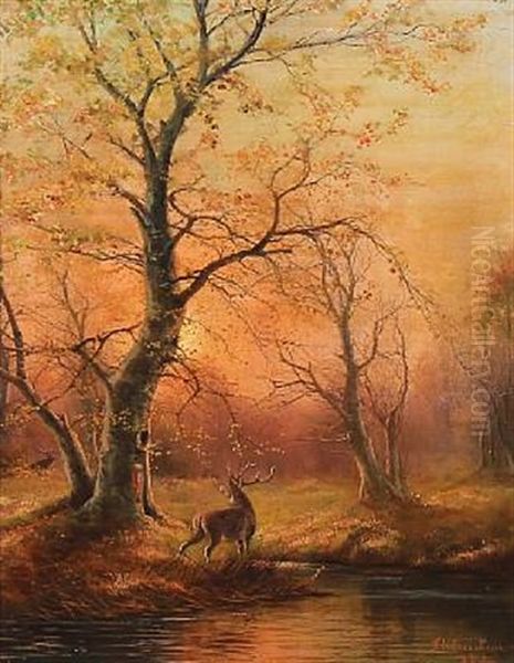 Forest Scene With Deer At Sunset - view 1