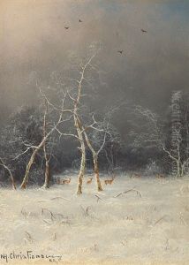 Winter Forest Winter Forest