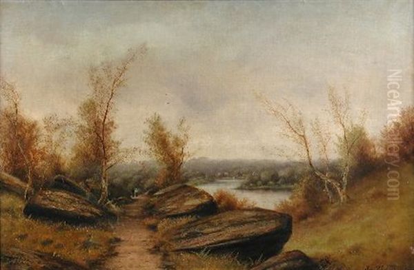 View Of A Danish Lake With Walkers On A Track - view 1
