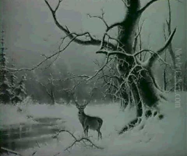 Hirsch Im Wald - view 1
