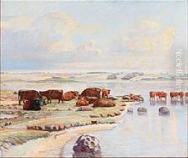 Koer Pa Engen Ved Dyrnaes - view 1