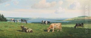 Scenery From Hjarbaek Fjord With Grazing Cows thumbnail