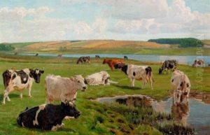 Graessende Koer Ved Hjarbaek Fjord Graessende Koer Ved Hjarbaek Fjord
