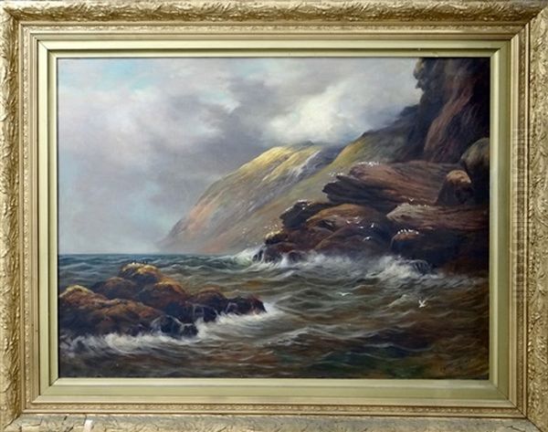 Otago Coast - view 1