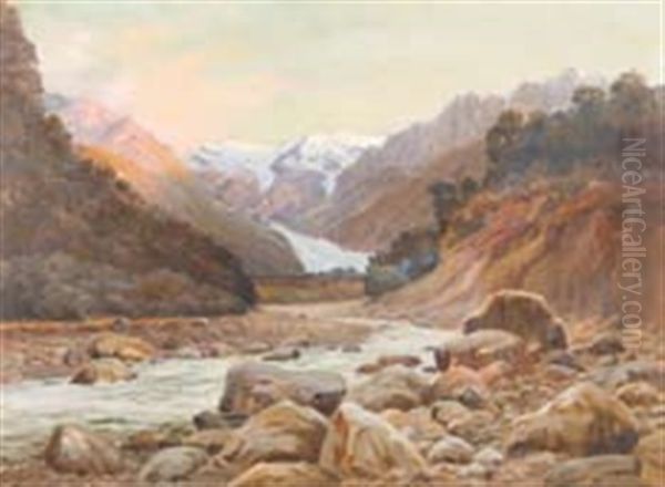 West Coast Glacier - view 1