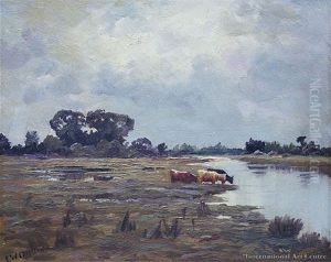 Cows Drinking From A Stream Cows Drinking From A Stream