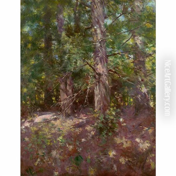 Woodland Scene - view 1