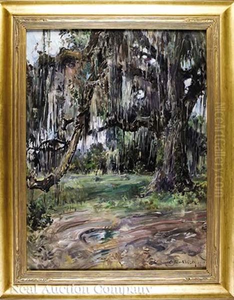 Live Oak, New Orleans - view 1